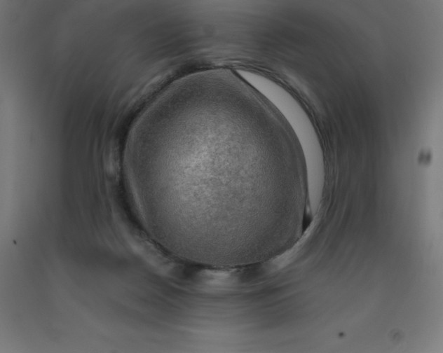 X0000092000170200709271515