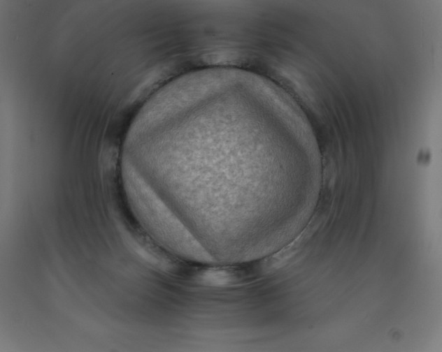 X0000092000171200709271515