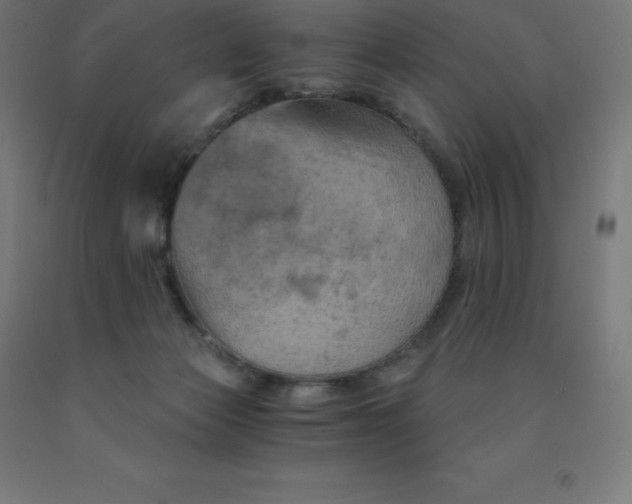 X0000092000173200709271515