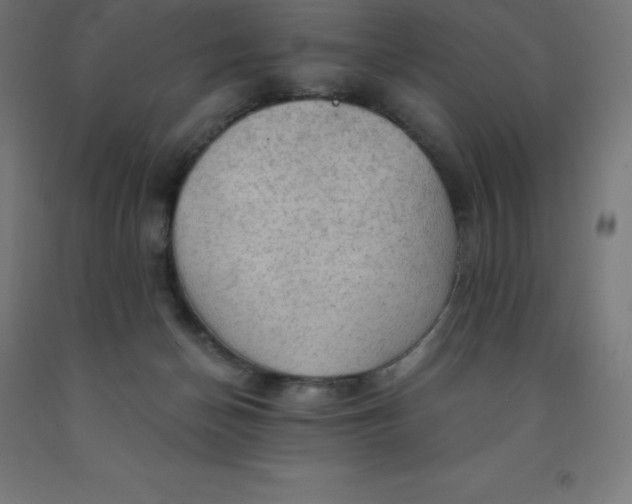 X0000092000174200709271515