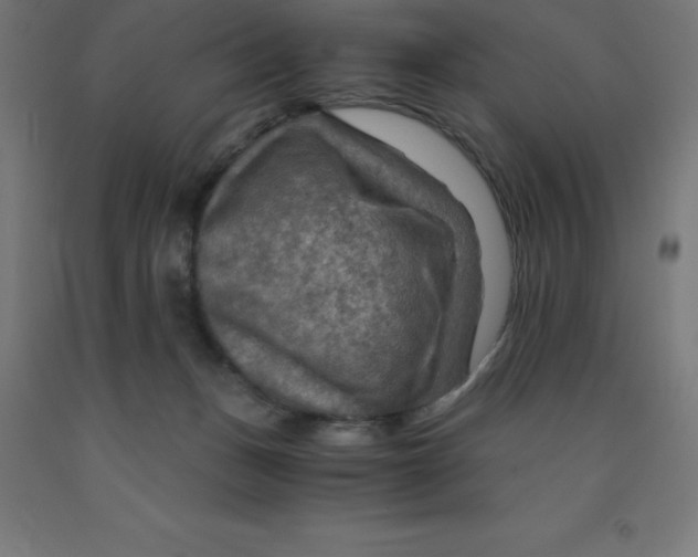 X0000092000175200709271515