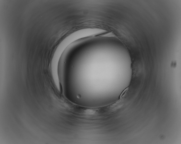 X0000092000176200709271515