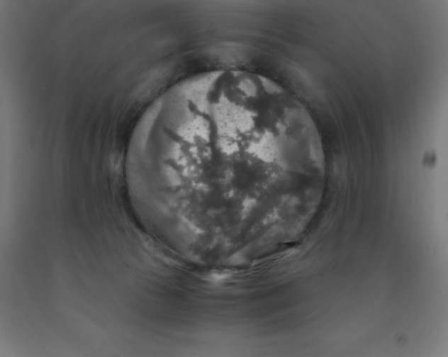 X0000092000177200709271515