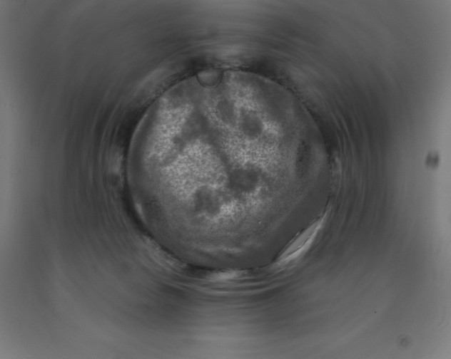 X0000092000178200709271515