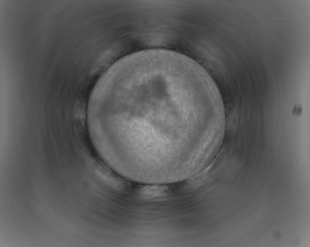 X0000092000179200709271515