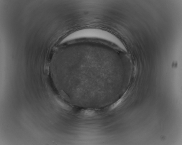 X0000092000180200709271515