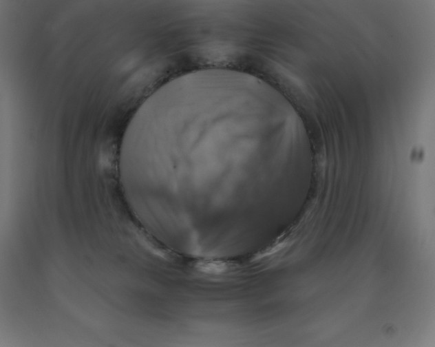 X0000092000181200709271515