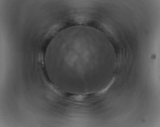 X0000092000182200709271515