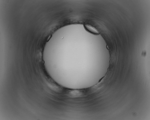 X0000092000183200709271515