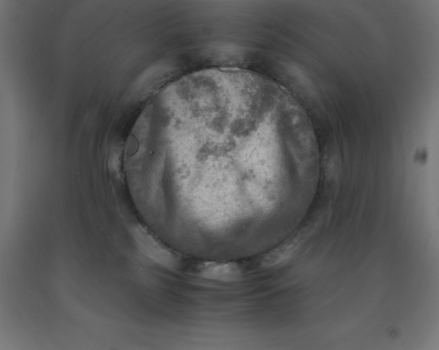 X0000092000185200709271515