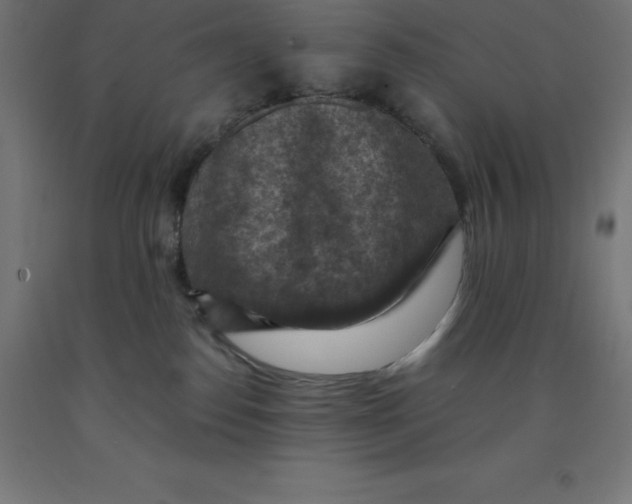 X0000092000186200709271515