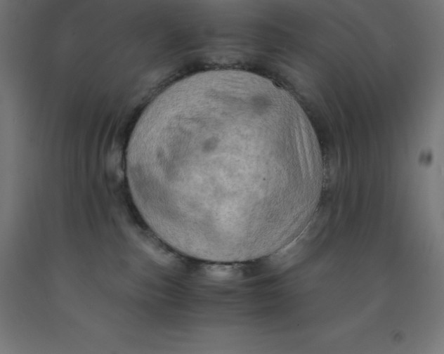 X0000092000187200709271515