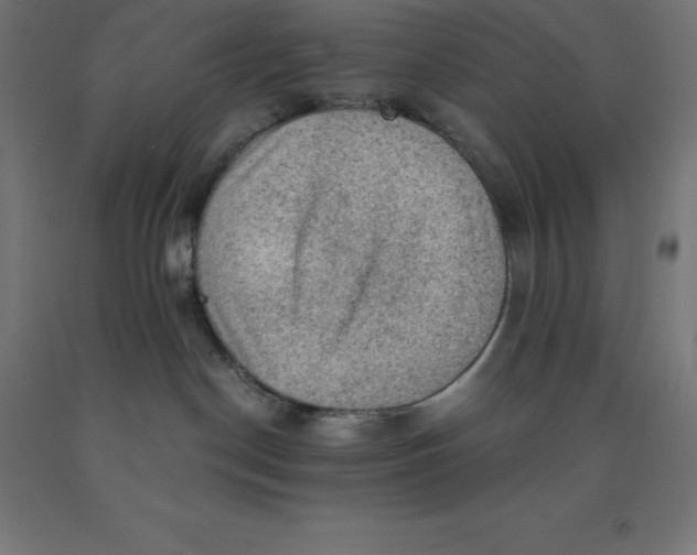 X0000092000190200709271515