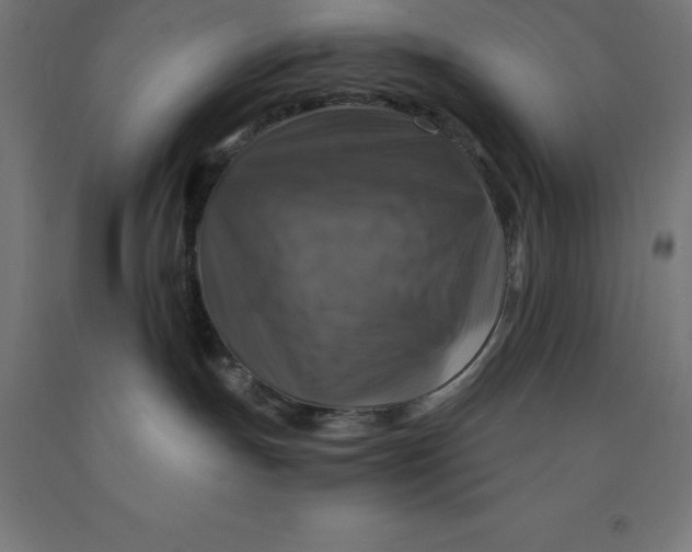 X0000092000191200709271515