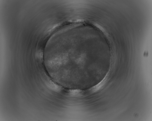 X0000092000192200709271515