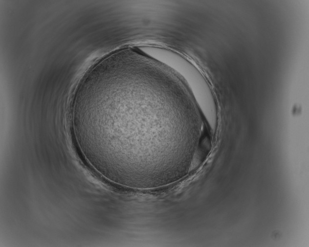 X0000092000193200709271515