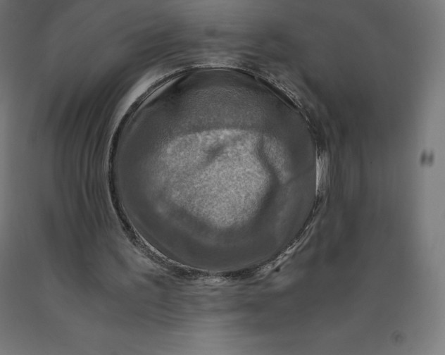 X0000092000195200709271515