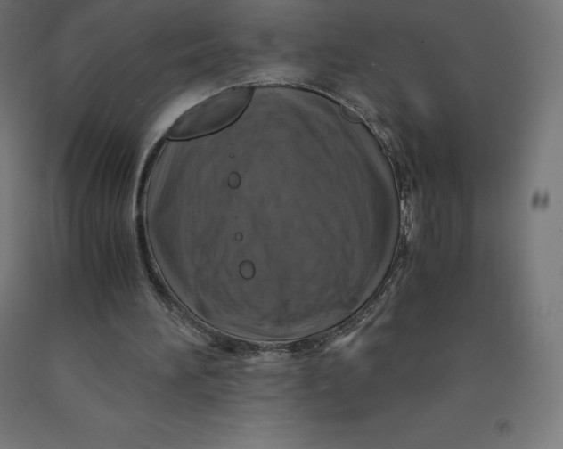 X0000092000196200709271515