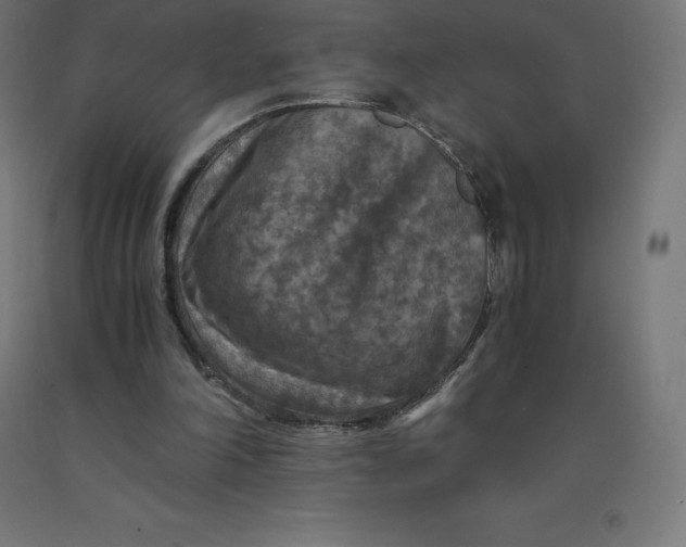 X0000092000198200709271515