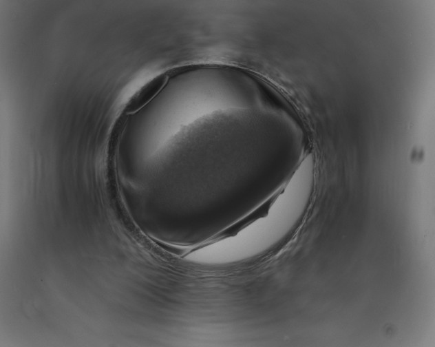 X0000092000200200709271515