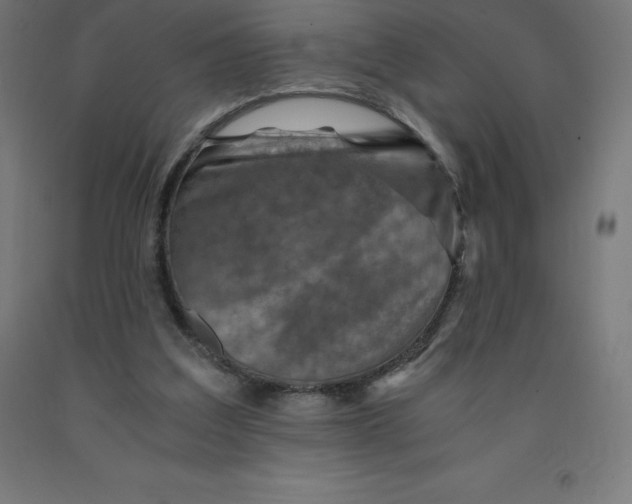 X0000092000203200709271515