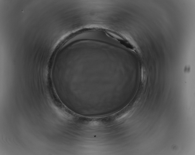 X0000092000204200709271515