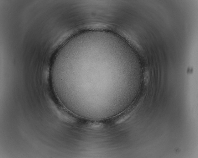 X0000092000206200709271515