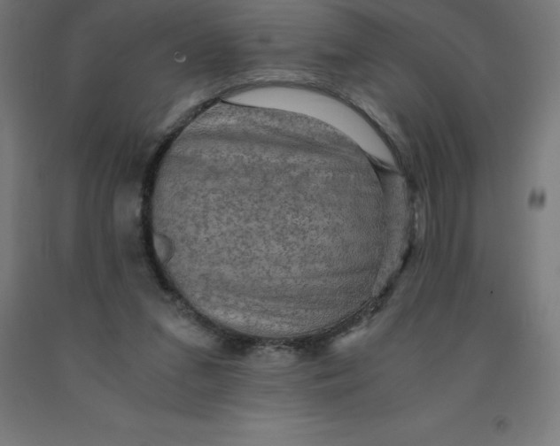 X0000092000207200709271515