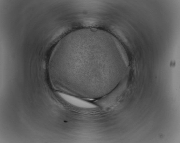 X0000092000211200709271515