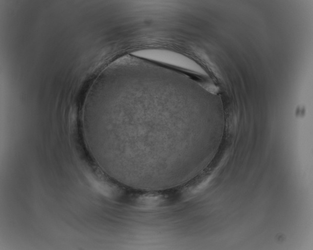 X0000092000213200709271515