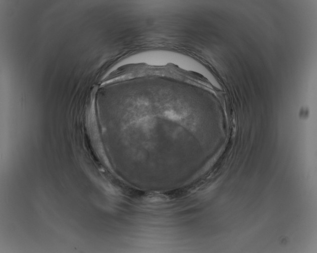 X0000092000215200709271515