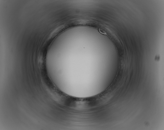 X0000092000216200709271515