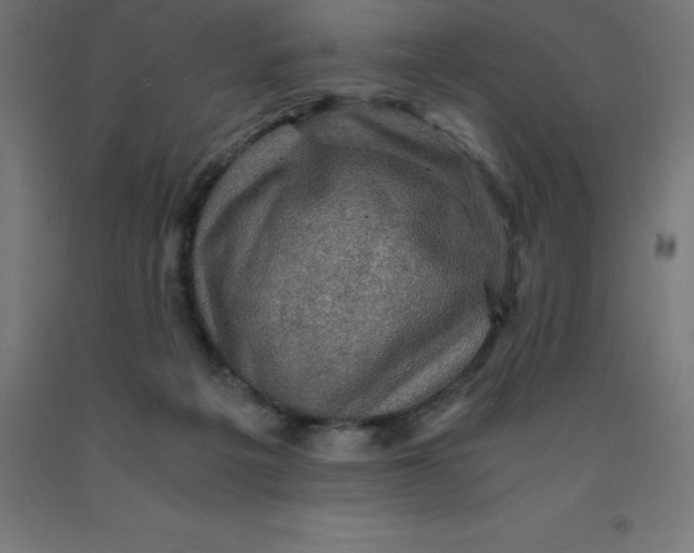 X0000092000217200709271515