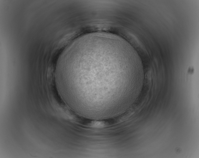 X0000092000218200709271515