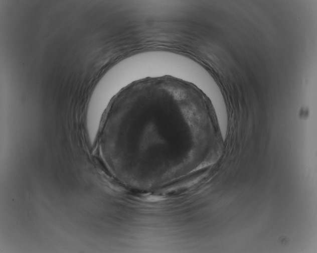 X0000092000219200709271515