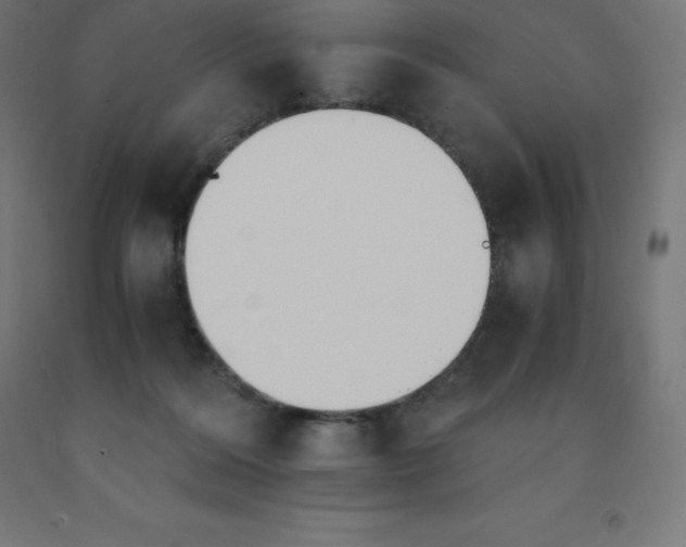 X0000092000220200709271515