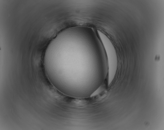 X0000092000221200709271515