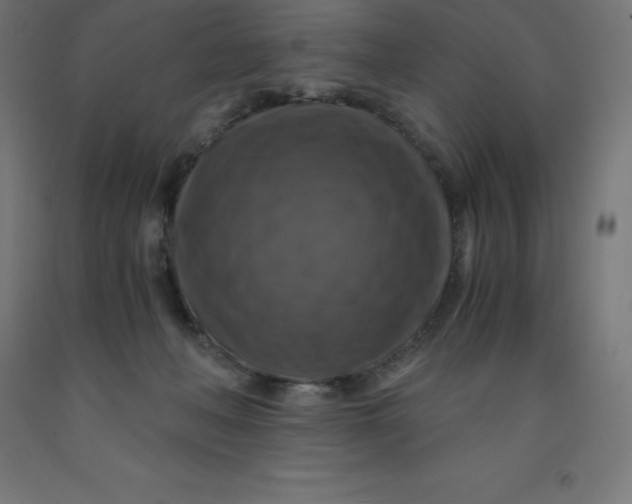 X0000092000222200709271515