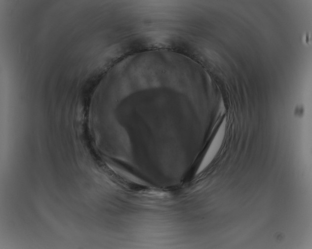 X0000092000223200709271515