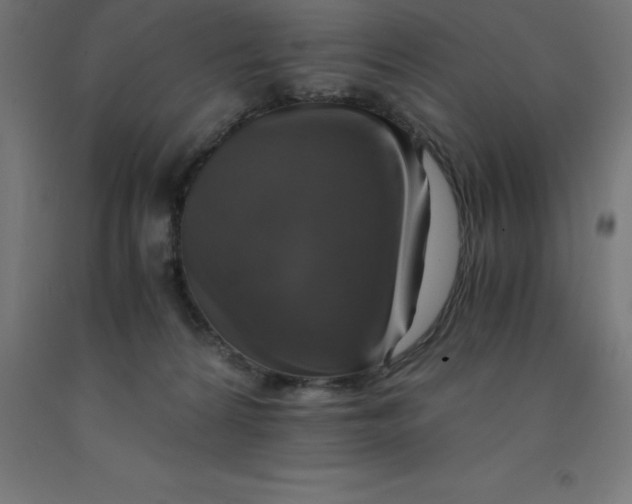 X0000092000224200709271515