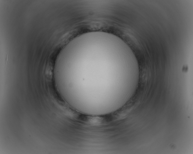 X0000092000226200709271514