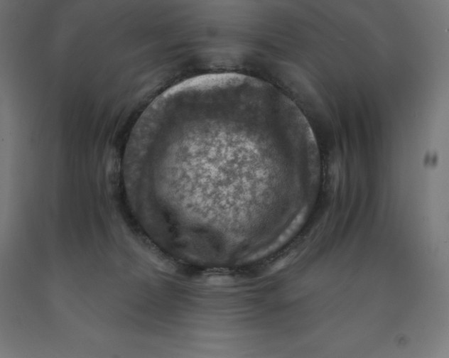 X0000092000228200709271514