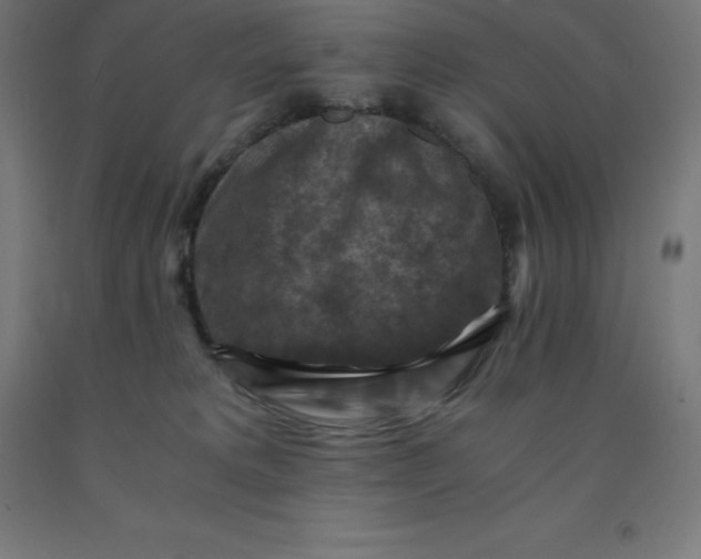 X0000092000229200709271514