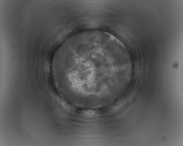 X0000092000230200709271514