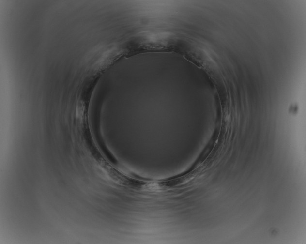 X0000092000231200709271514