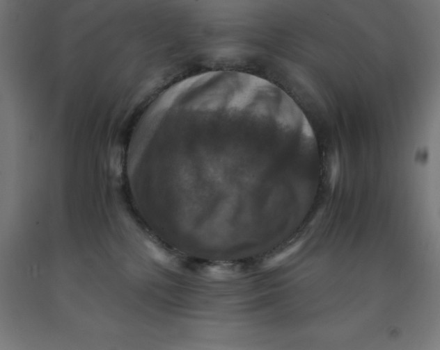 X0000092000232200709271514