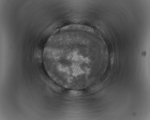 X0000092000234200709271514