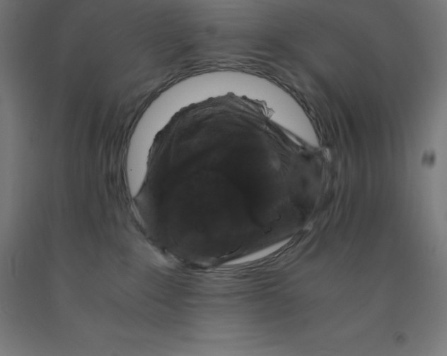 X0000092000235200709271514