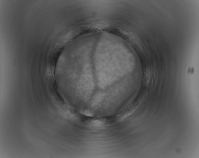 X0000092000236200709271514