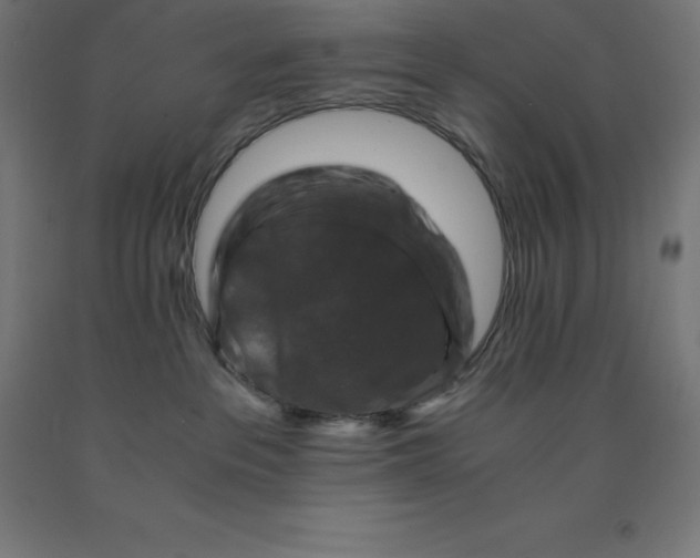 X0000092000237200709271514